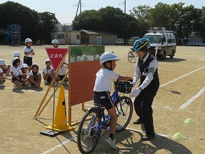 IMG_7672 IMG_7672