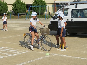 IMG_7698 IMG_7698