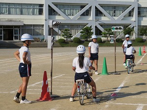 IMG_7703 IMG_7703