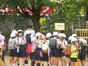 IMG_7764 IMG_7764