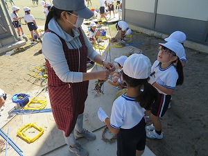 IMG_7879 IMG_7879