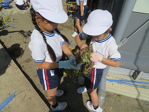IMG_7880 IMG_7880