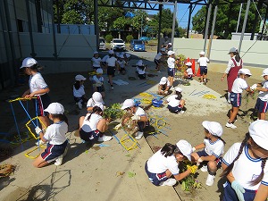IMG_7882 IMG_7882