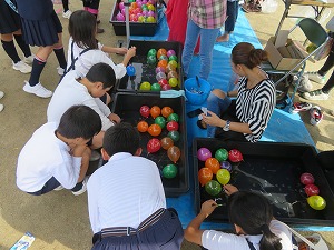 IMG_8490 IMG_8490