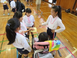 IMG_8255 IMG_8255