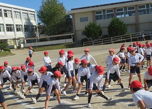 IMG_8712(2) IMG_8712(2)