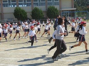 IMG_8733 IMG_8733