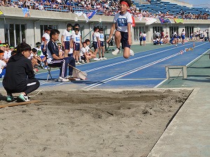 IMG_8786 IMG_8786