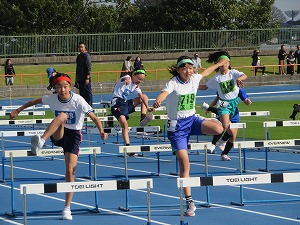 IMG_8785 IMG_8785