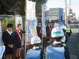 IMG_8893 IMG_8893