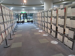 IMG_8934 IMG_8934