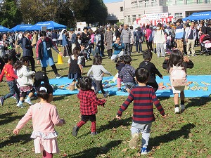 IMG_8958 IMG_8958