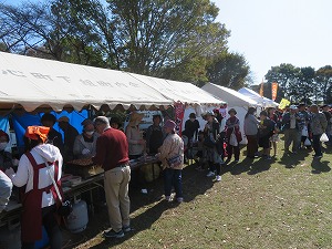 IMG_8956 IMG_8956