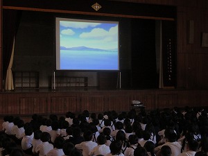 IMG_8981 IMG_8981