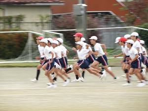 IMG_8987 IMG_8987