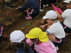 IMG_8993 IMG_8993