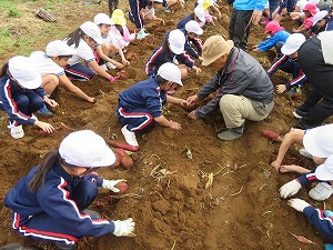 IMG_8999 IMG_8999