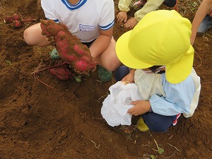 IMG_9006 IMG_9006