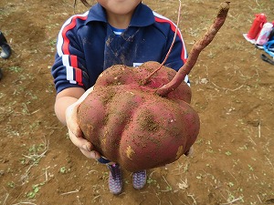 IMG_9022 IMG_9022