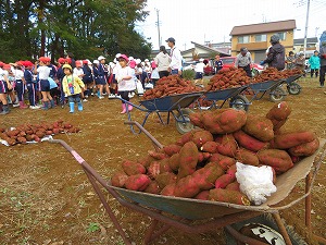 IMG_9030 IMG_9030