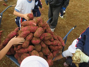 IMG_9021 IMG_9021
