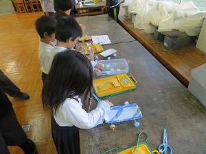 IMG_9071 IMG_9071