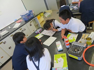 IMG_9130 IMG_9130