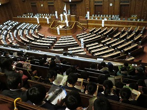 IMG_9406 IMG_9406