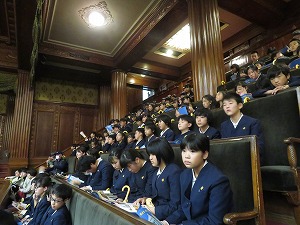 IMG_9414 IMG_9414