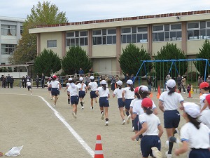 IMG_9607 IMG_9607