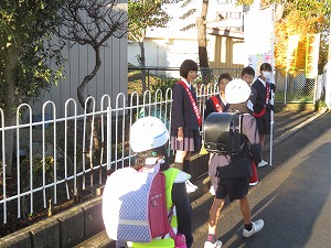 IMG_9748 IMG_9748