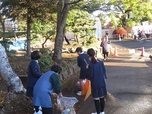IMG_9761 IMG_9761