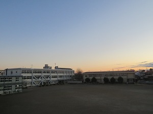 IMG_0204