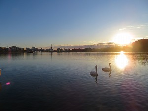 IMG_0245