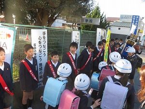 IMG_0986 IMG_0986
