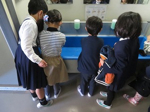 IMG_1065 IMG_1065