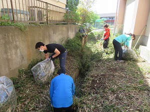 IMG_2421 IMG_2421