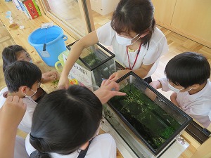 IMG_2499 IMG_2499