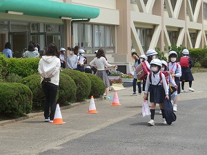 IMG_2501 IMG_2501