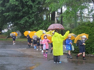 IMG_2513 IMG_2513