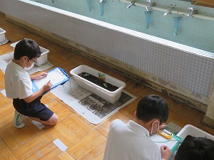 IMG_2552 IMG_2552