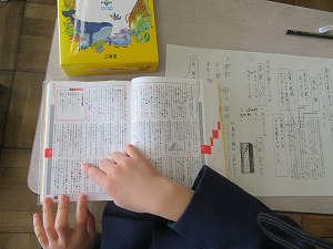 IMG_2641 IMG_2641