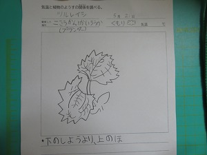 IMG_2651 IMG_2651
