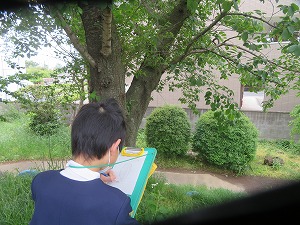 IMG_2631 IMG_2631