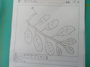 IMG_2632 IMG_2632