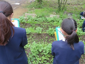 IMG_2604 IMG_2604