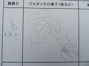IMG_2606 IMG_2606