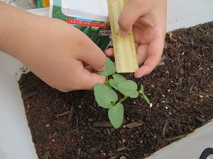 IMG_2721 IMG_2721
