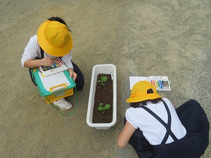 IMG_2714 IMG_2714