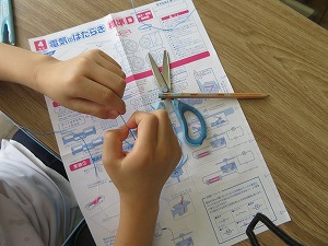 IMG_2750 IMG_2750